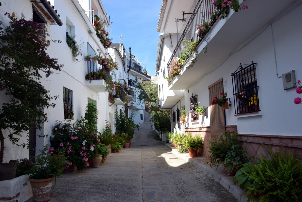 Foto de Algatocín (Málaga), España