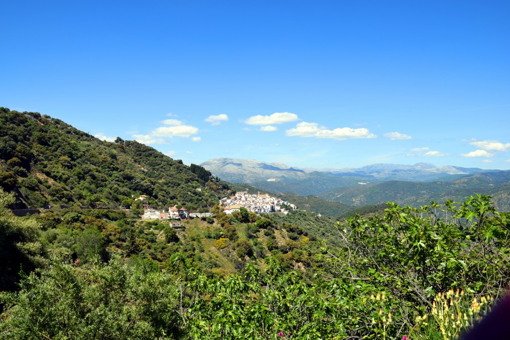 Foto de Algatocín (Málaga), España