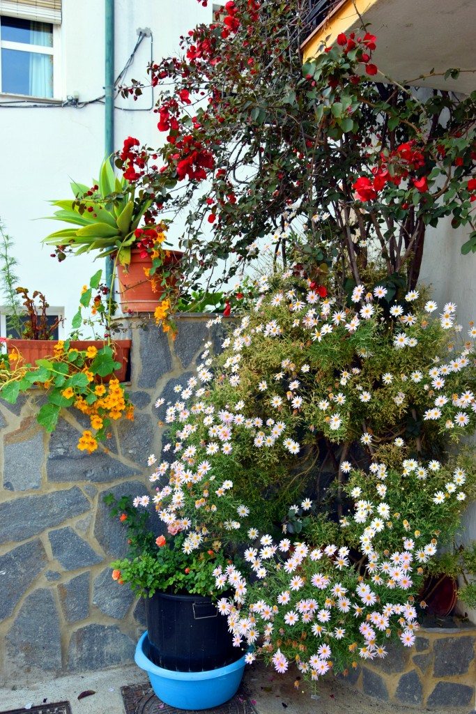 Foto de Algatocín (Málaga), España