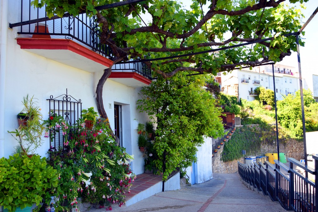 Foto de Algatocín (Málaga), España