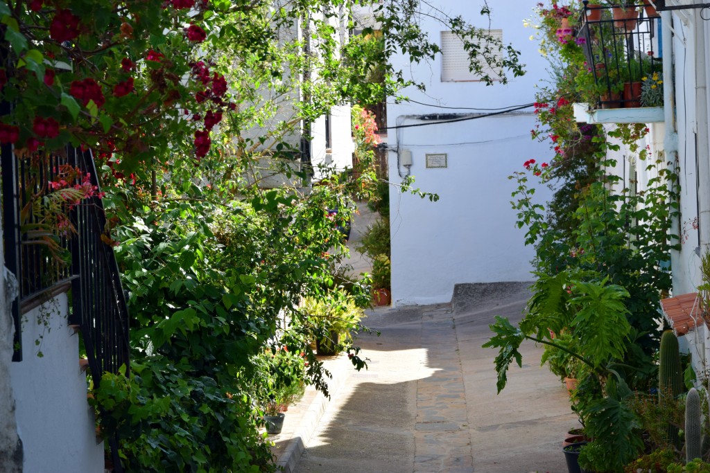 Foto de Algatocín (Málaga), España