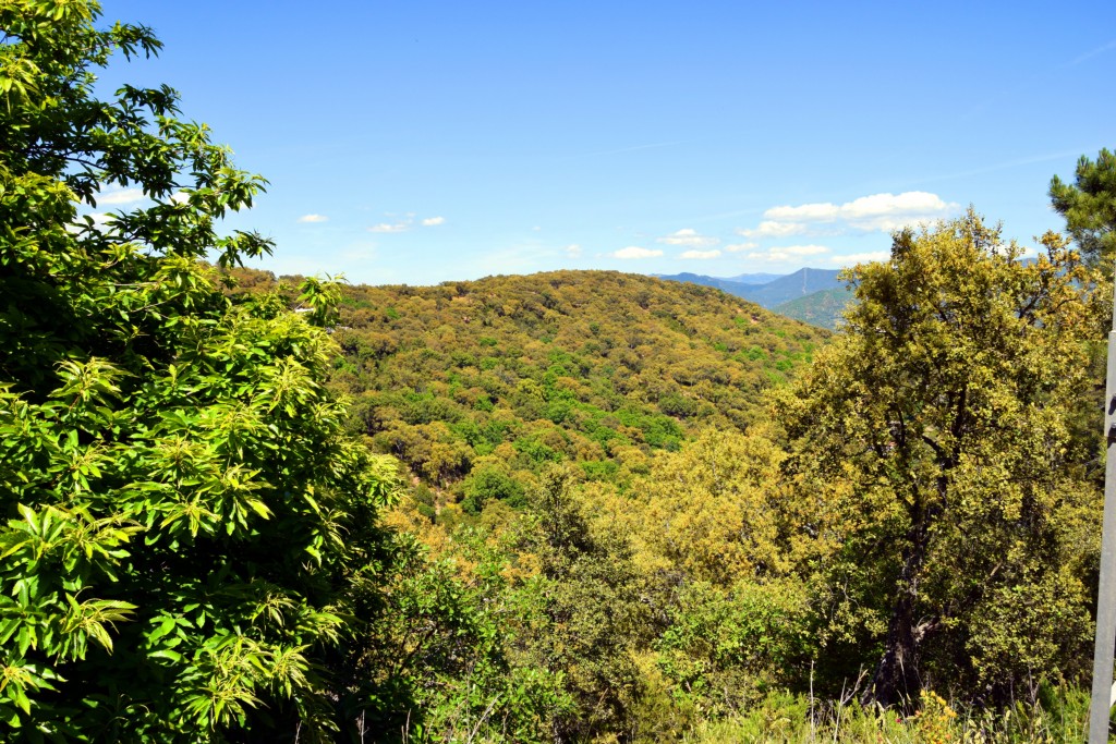 Foto de Algatocín (Málaga), España