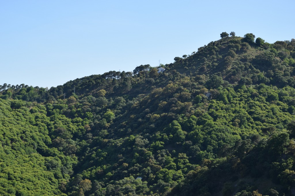 Foto de Algatocín (Málaga), España