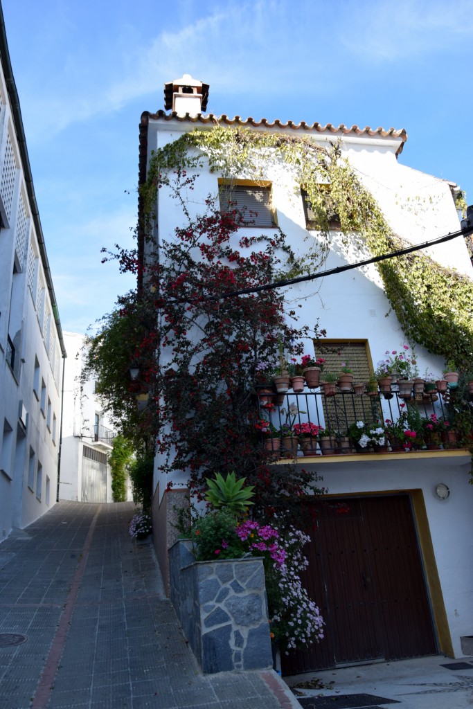 Foto de Algatocín (Málaga), España