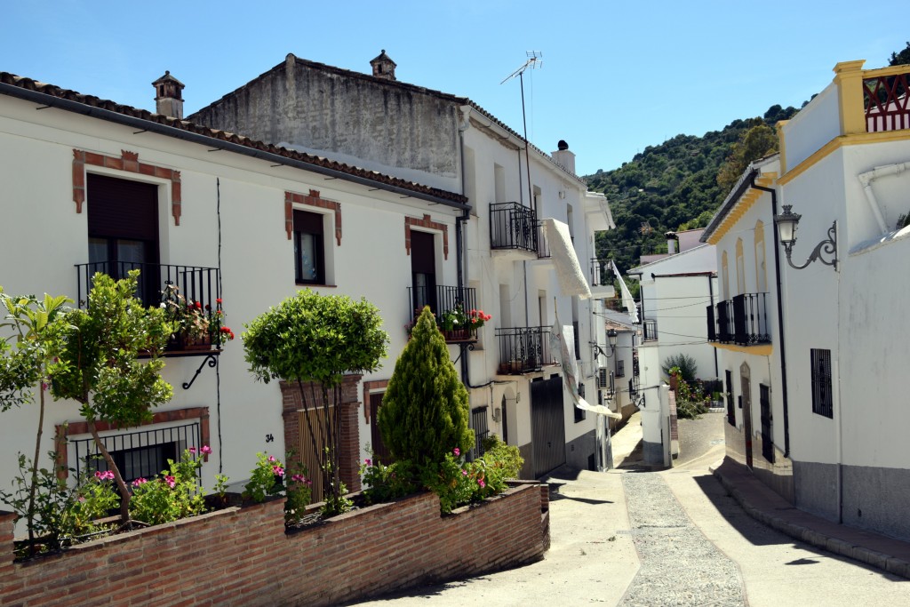 Foto de Algatocín (Málaga), España