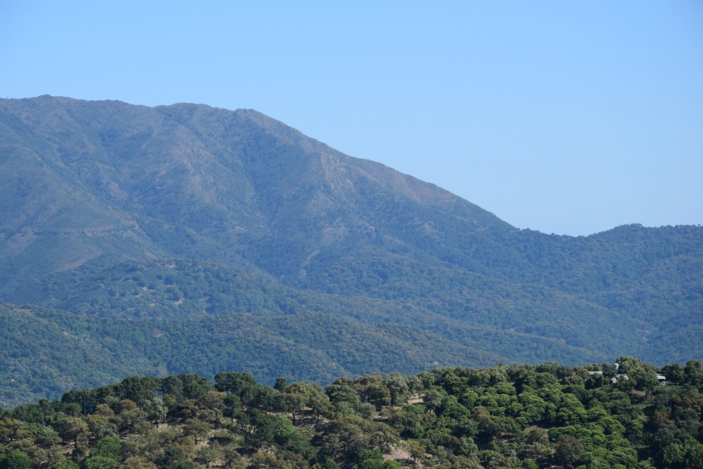 Foto de Algatocín (Málaga), España