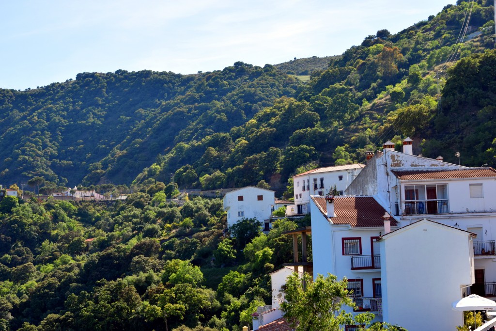 Foto de Algatocín (Málaga), España