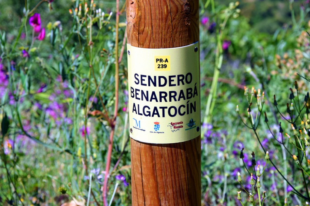 Foto de Algatocín (Málaga), España