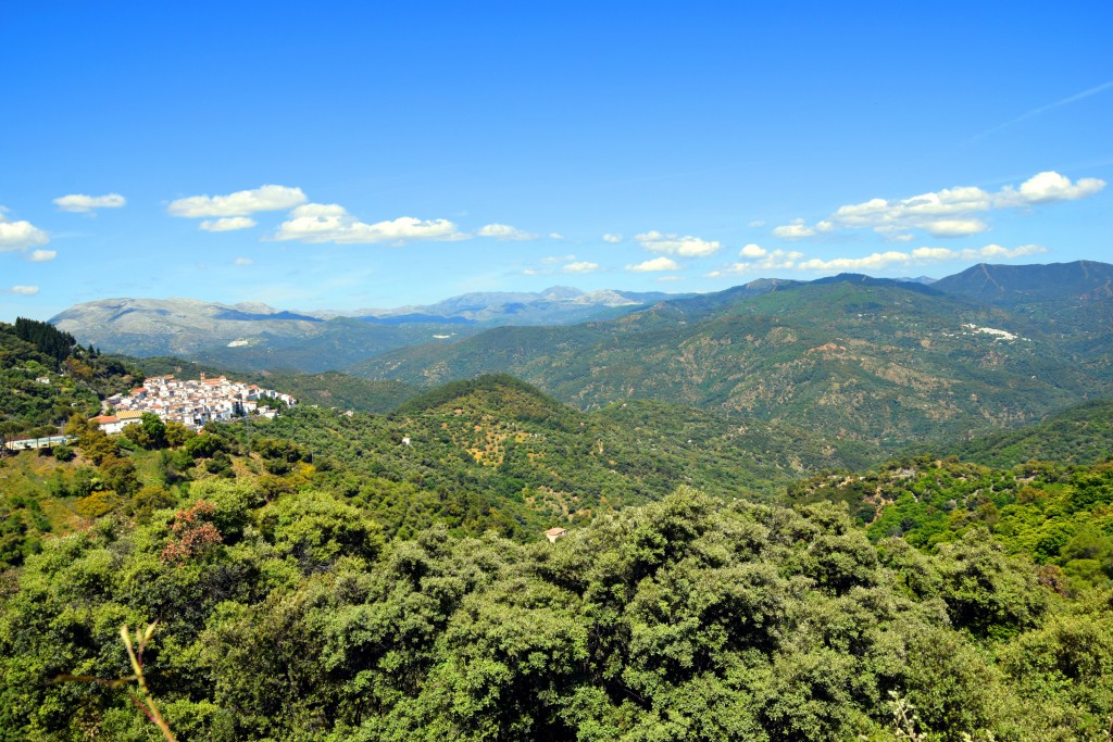 Foto de Algatocín (Málaga), España