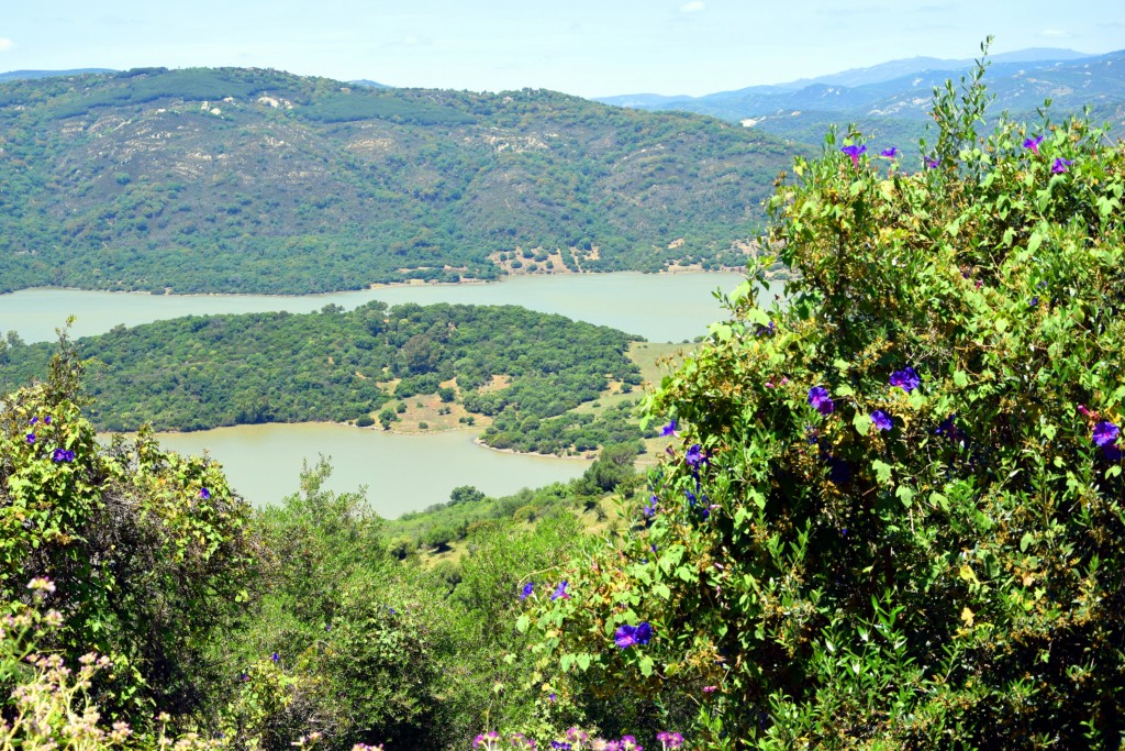 Foto de Castellar de la Frontera (Cádiz), España