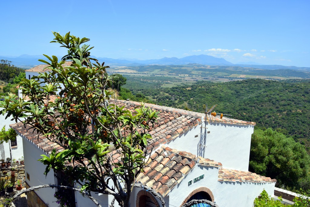 Foto de Castellar de la Frontera (Cádiz), España