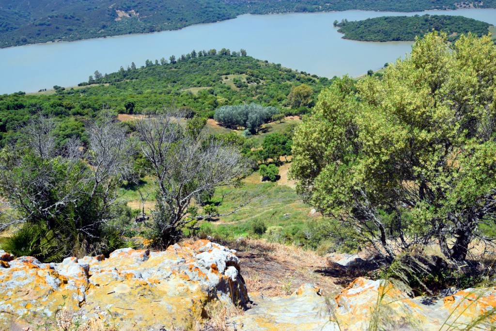 Foto de Castellar de la Frontera (Cádiz), España