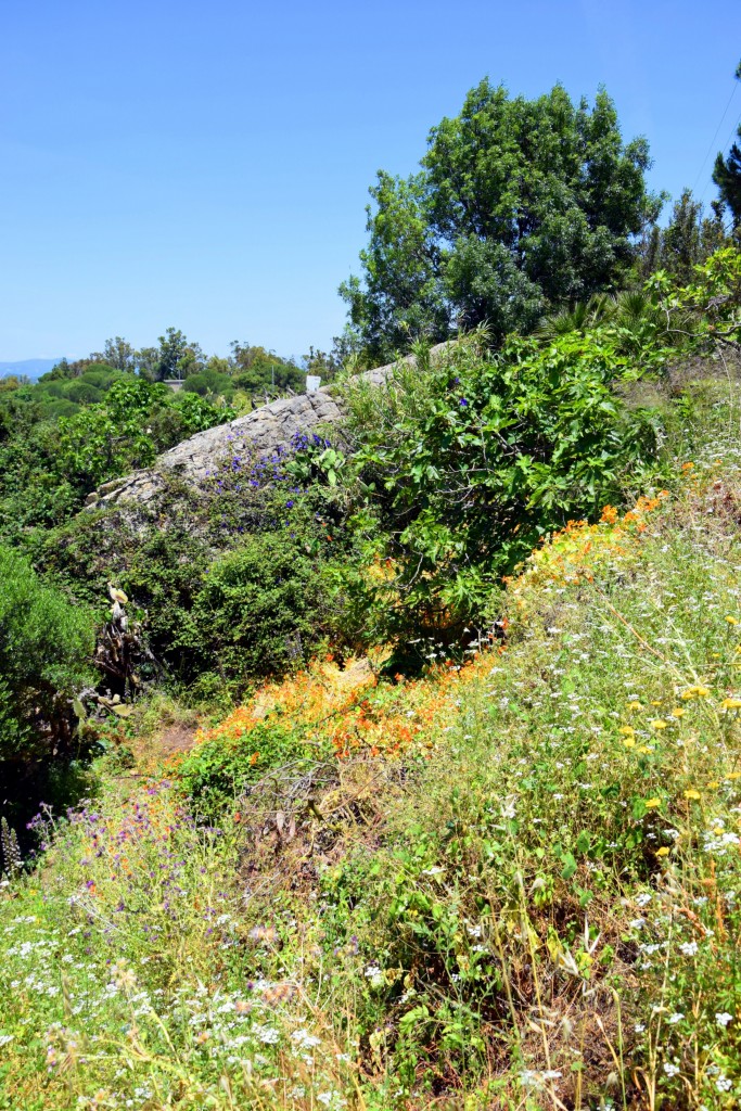 Foto de Castellar de la Frontera (Cádiz), España