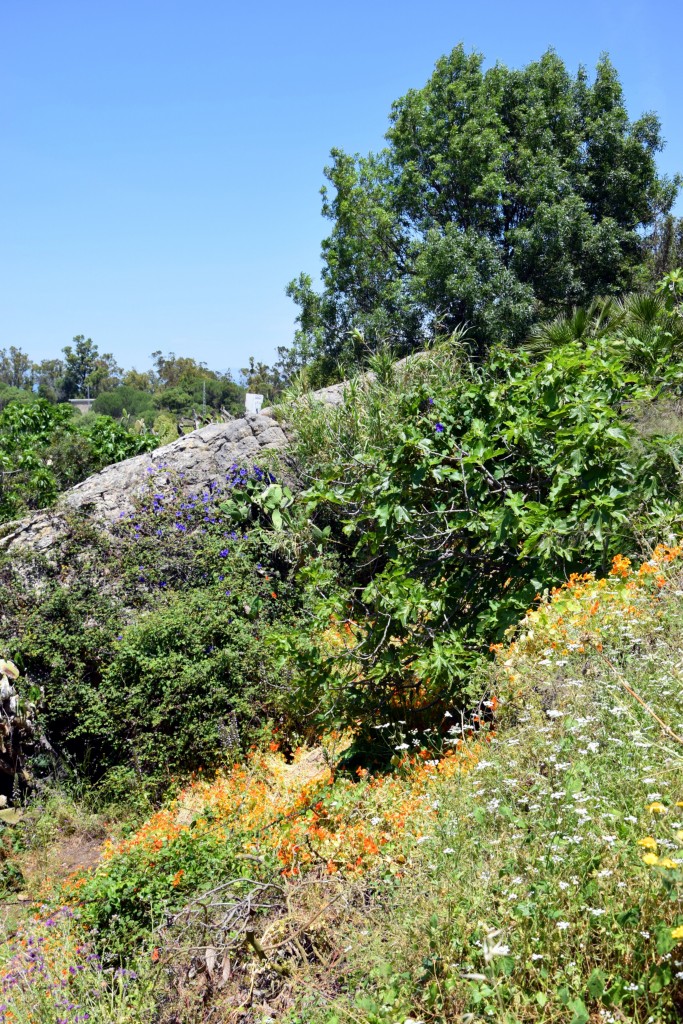 Foto de Castellar de la Frontera (Cádiz), España
