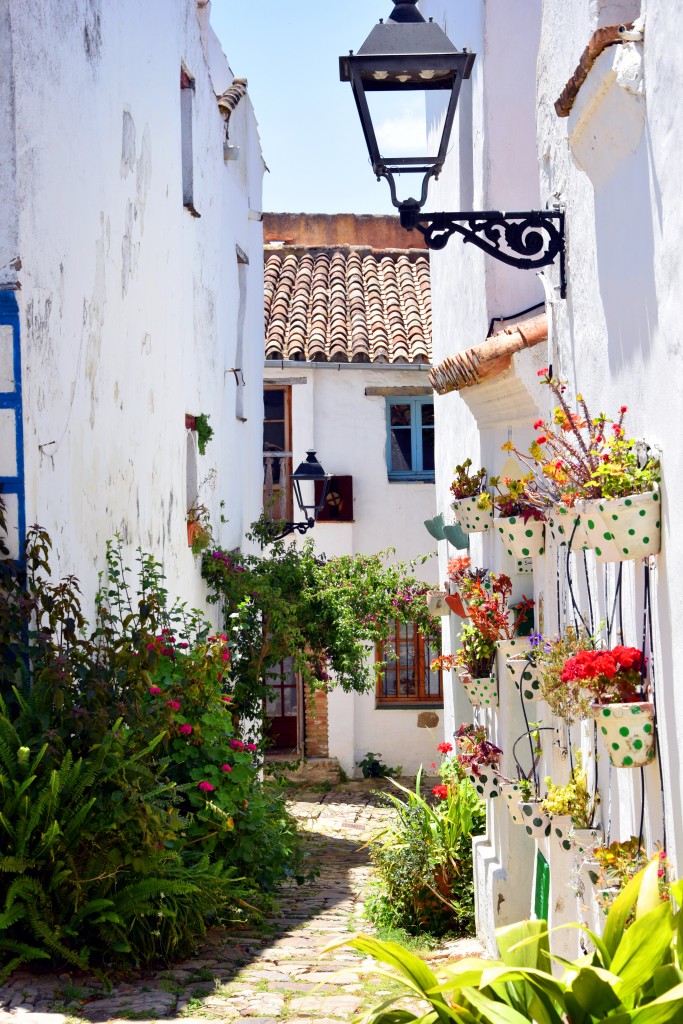 Foto de Castellar de la Frontera (Cádiz), España