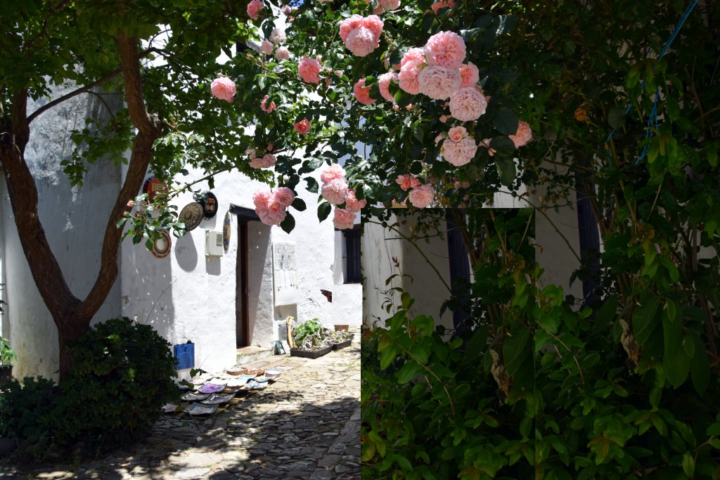 Foto de Castellar de la Frontera (Cádiz), España