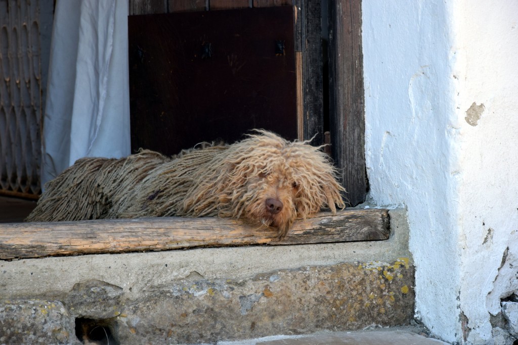 Foto de Castellar de la Frontera (Cádiz), España