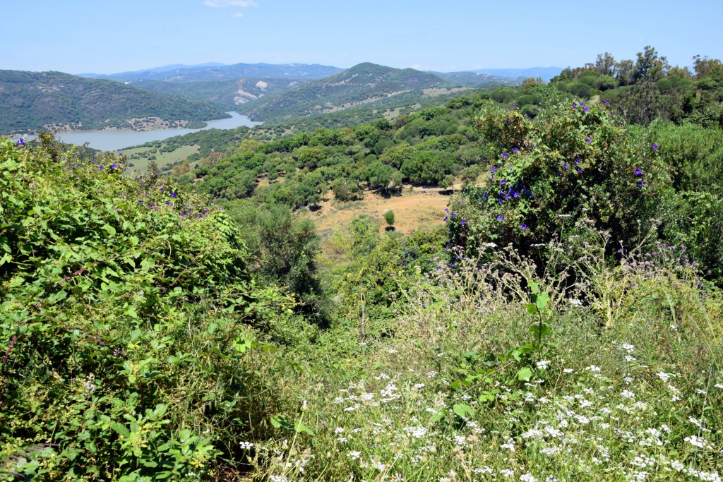 Foto de Castellar de la Frontera (Cádiz), España