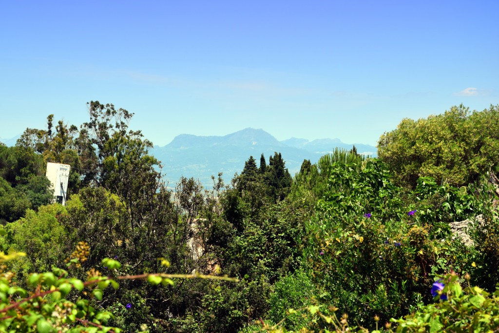 Foto de Castellar de la Frontera (Cádiz), España