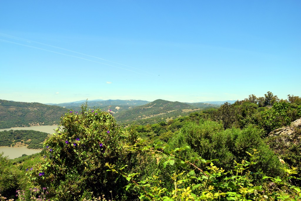 Foto de Castellar de la Frontera (Cádiz), España