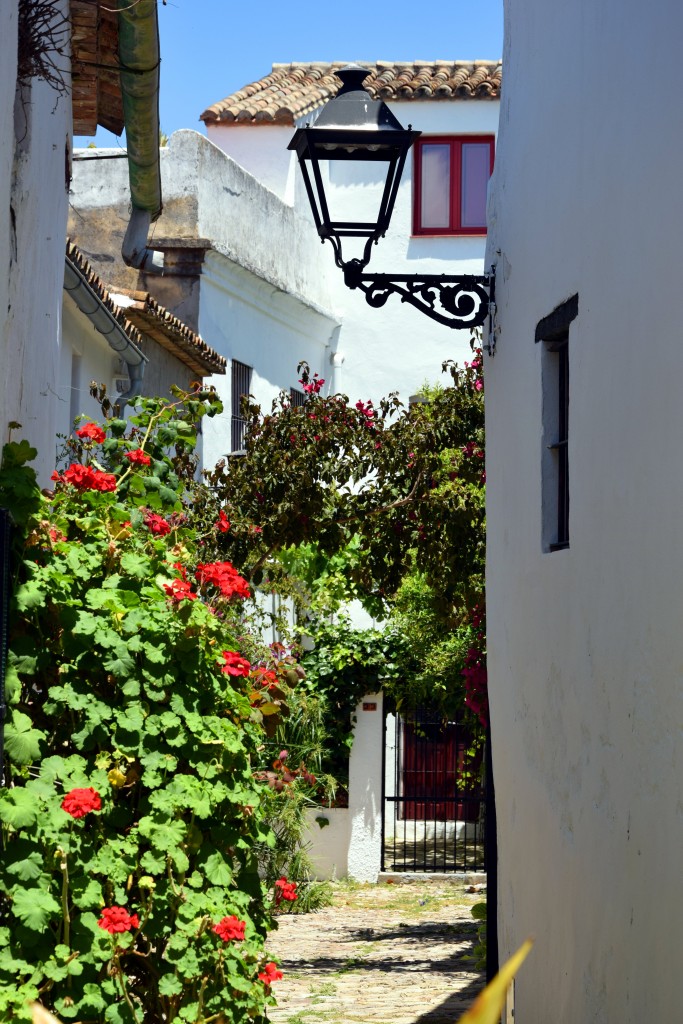 Foto de Castellar de la Frontera (Cádiz), España