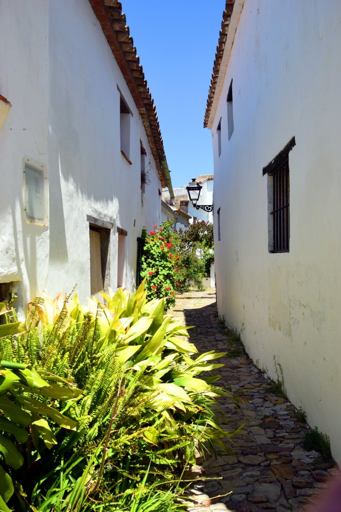 Foto de Castellar de la Frontera (Cádiz), España