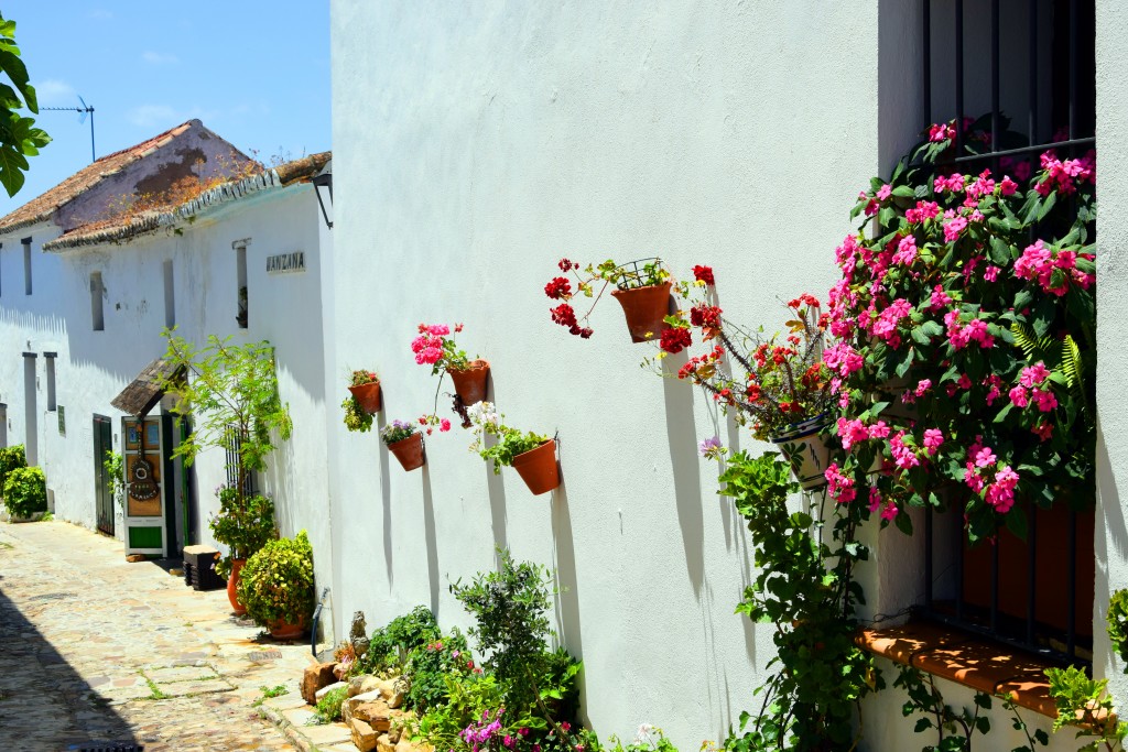 Foto de Castellar de la Frontera (Cádiz), España