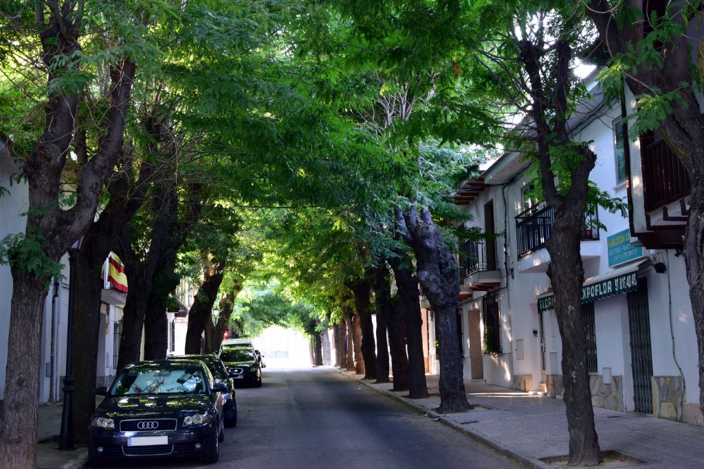 Foto de Brunete (Madrid), España