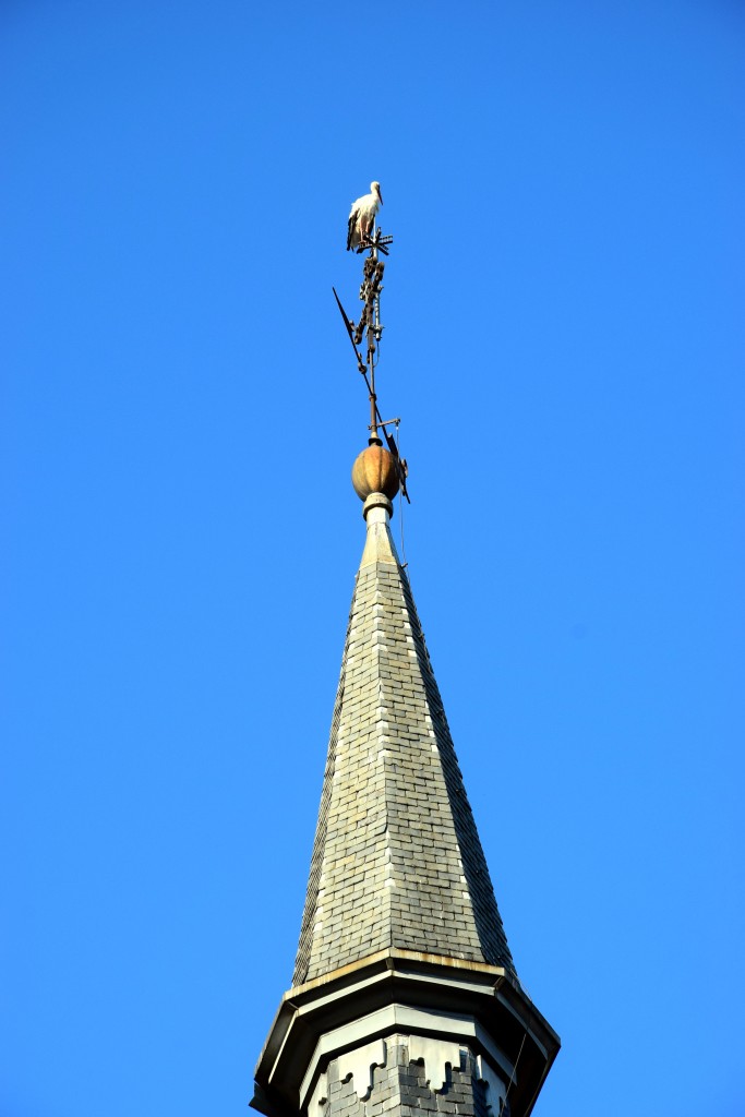 Foto de Brunete (Madrid), España