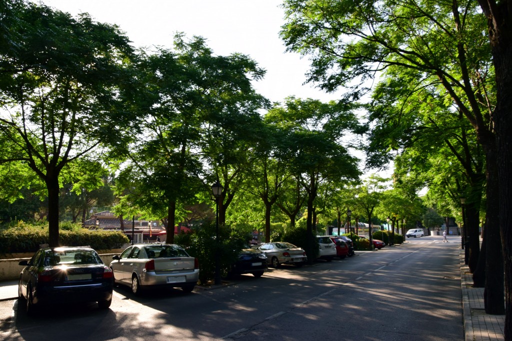Foto de Brunete (Madrid), España