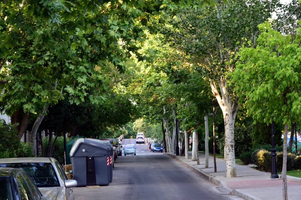 Foto de Brunete (Madrid), España