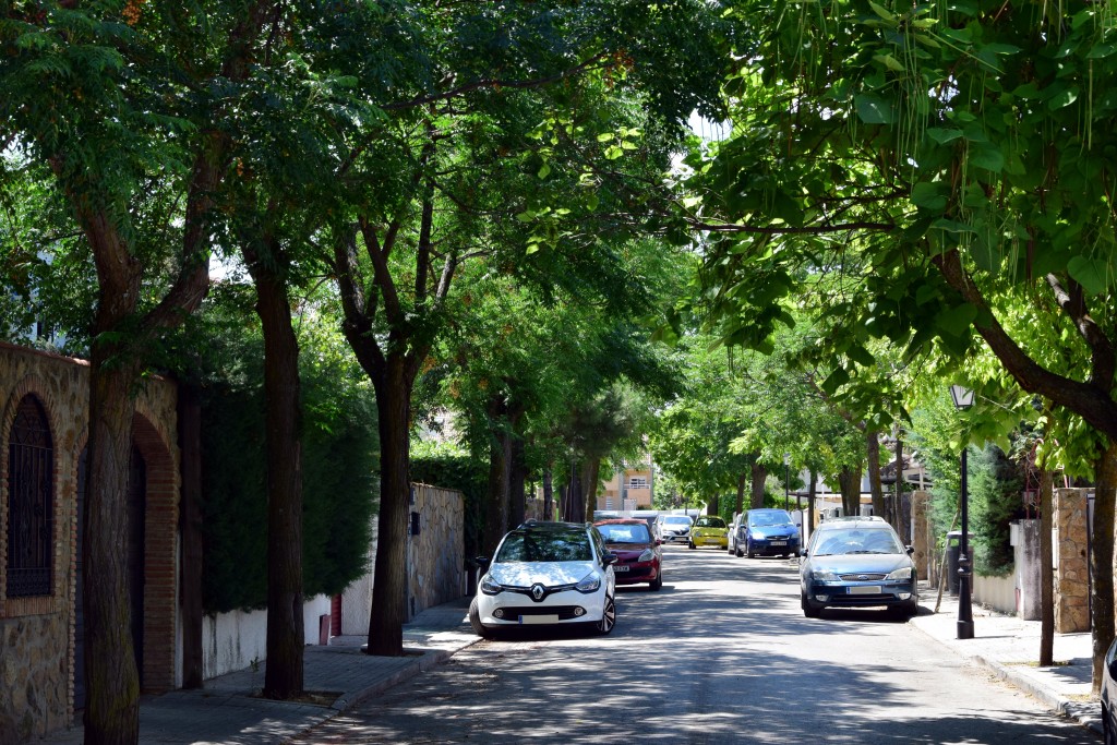 Foto de Brunete (Madrid), España
