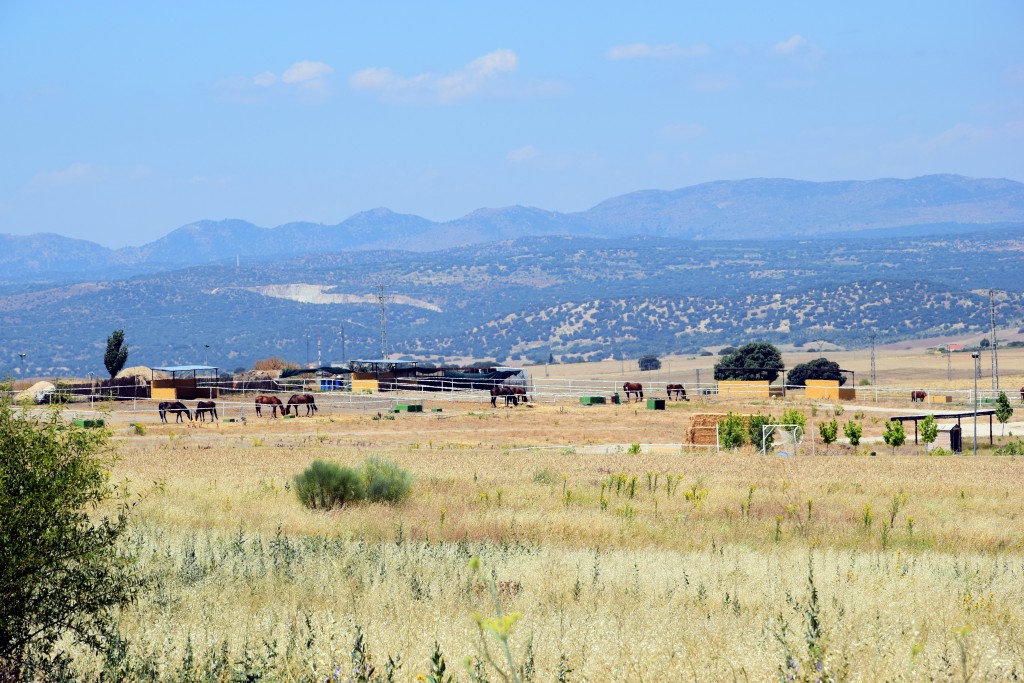 Foto de Brunete (Madrid), España