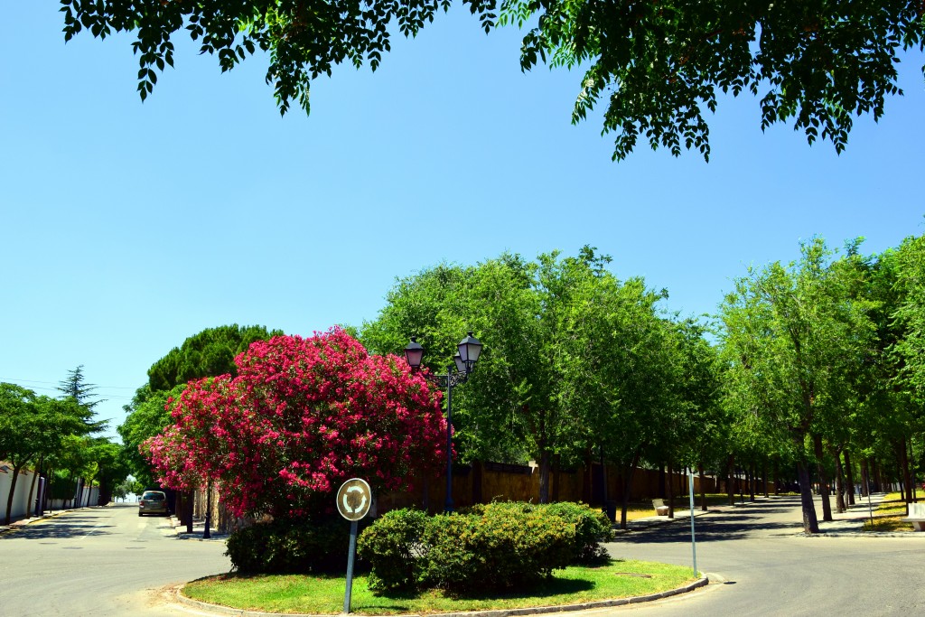 Foto de Brunete (Madrid), España