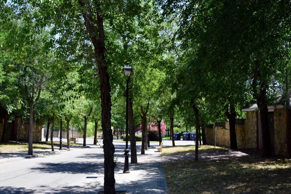 Foto de Brunete (Madrid), España