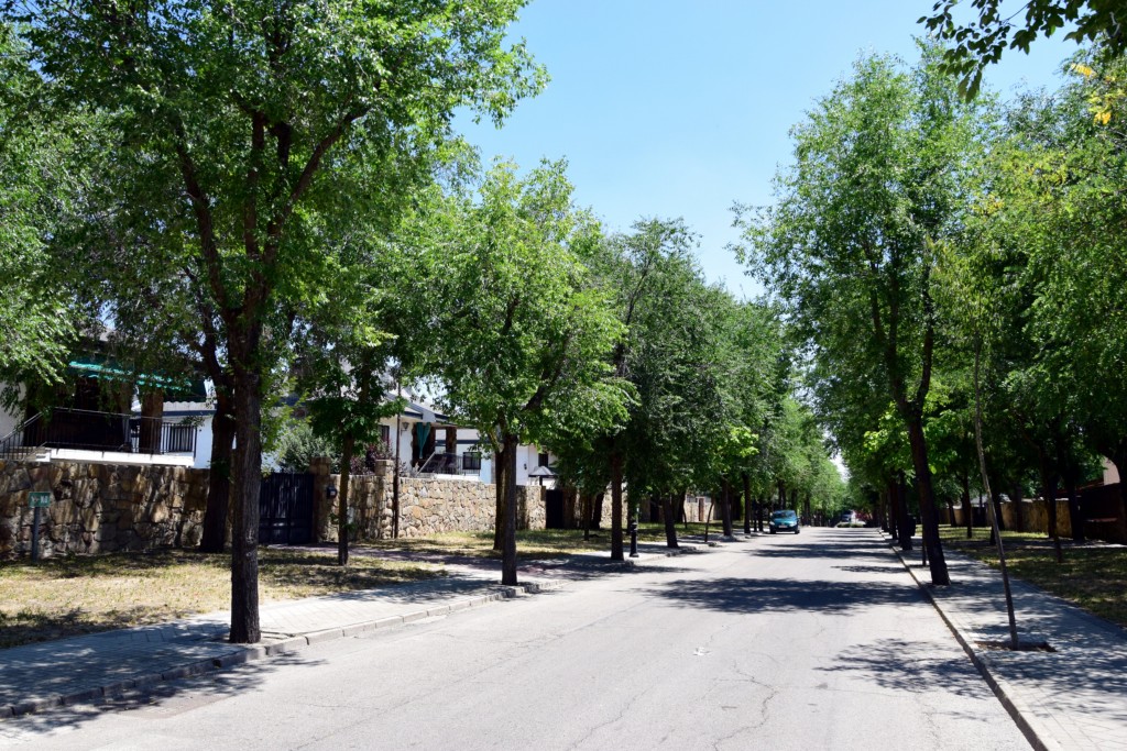 Foto de Brunete (Madrid), España