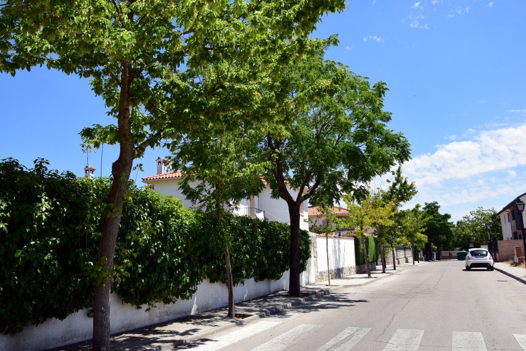 Foto de Brunete (Madrid), España