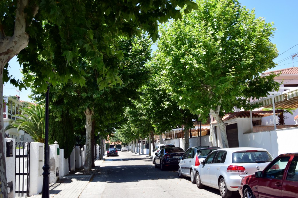 Foto de Brunete (Madrid), España