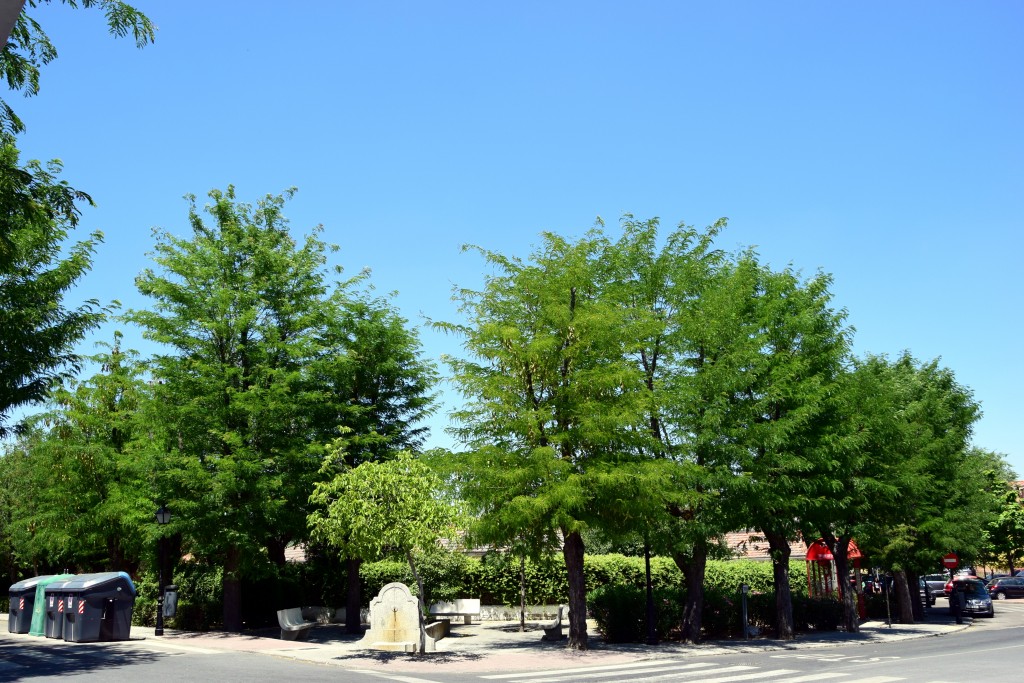 Foto de Brunete (Madrid), España