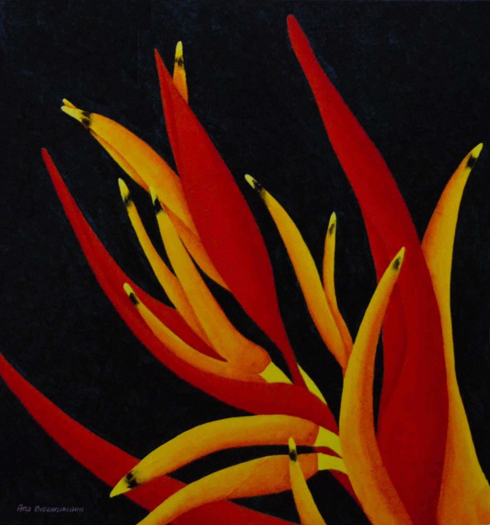 Foto de Alajuela, Costa Rica