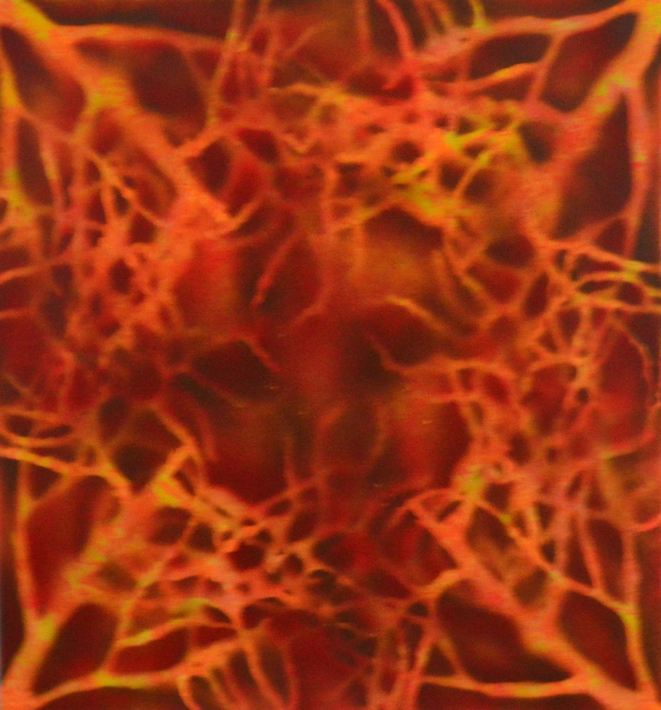 Foto de Alajuela, Costa Rica