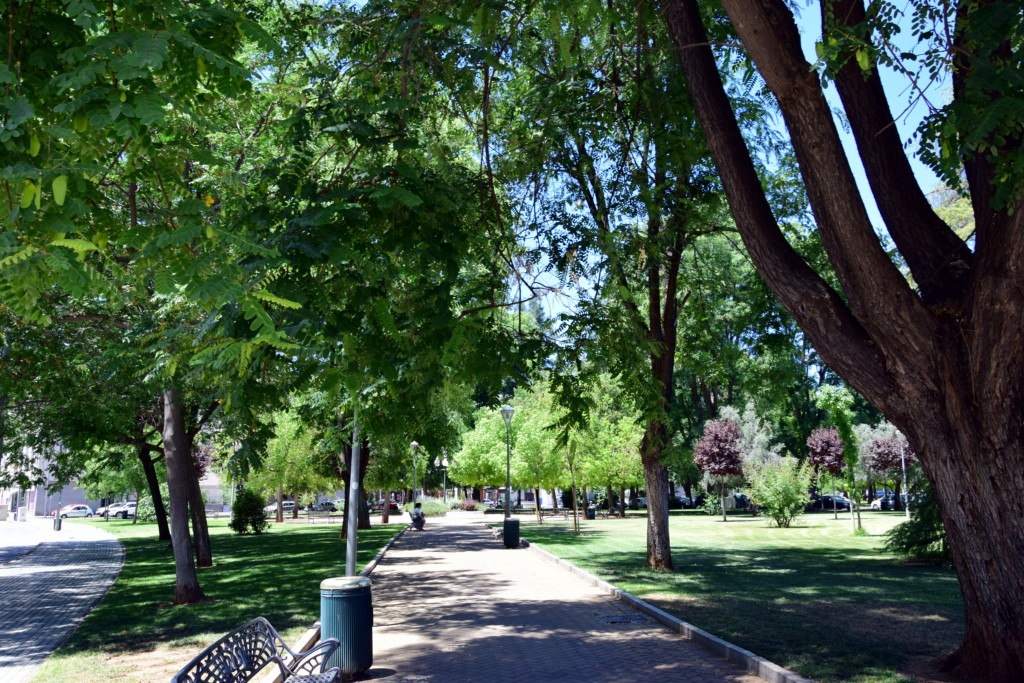 Foto de Córdoba (Andalucía), España