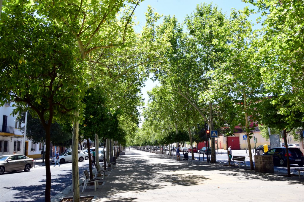 Foto de Córdoba (Andalucía), España