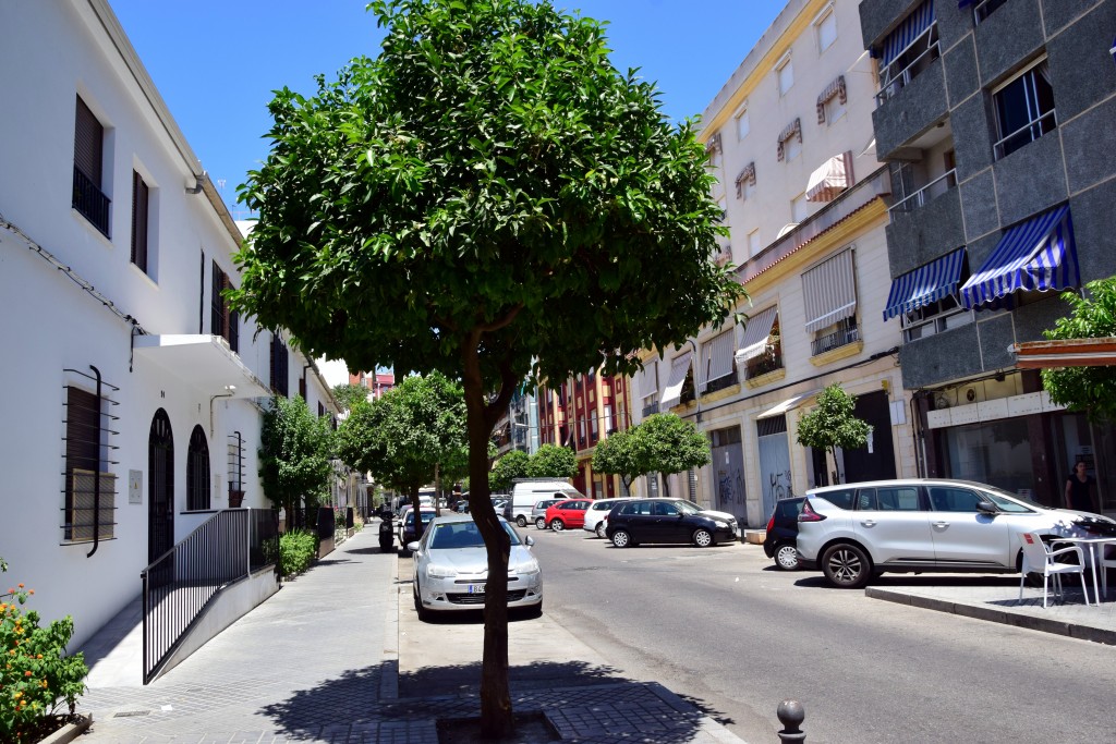 Foto de Córdoba (Andalucía), España
