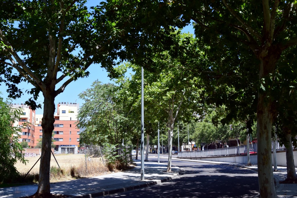 Foto de Córdoba (Andalucía), España