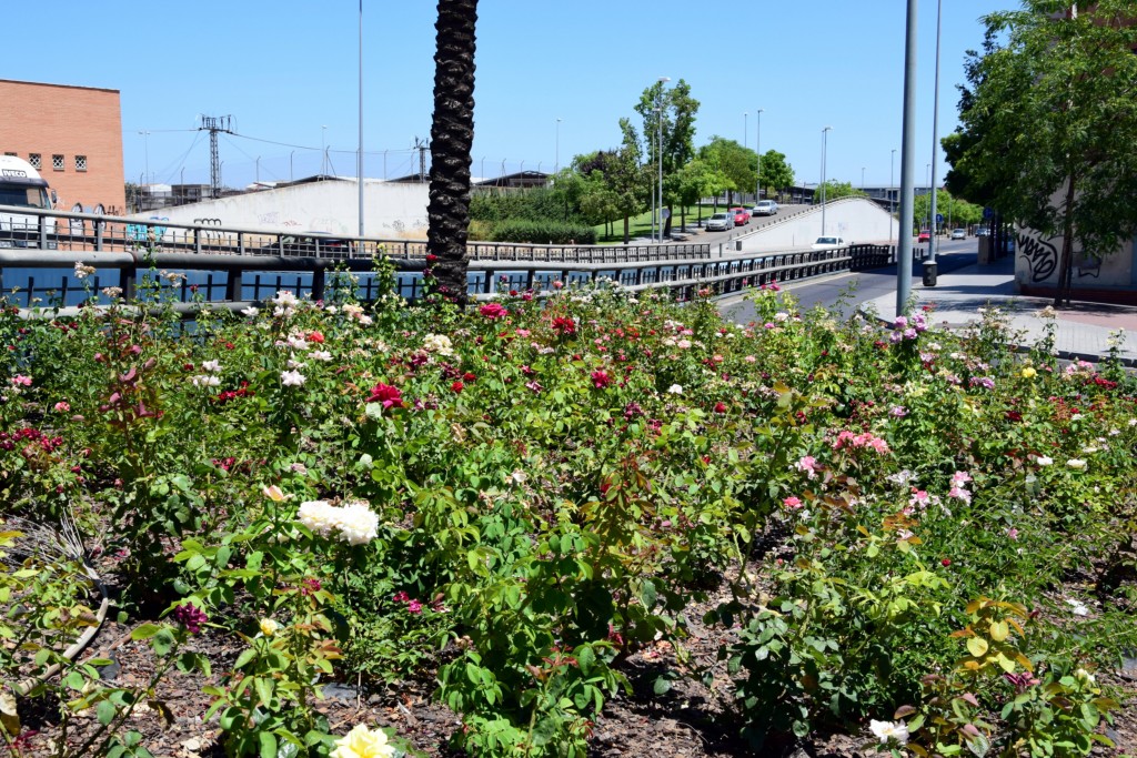 Foto de Córdoba (Andalucía), España