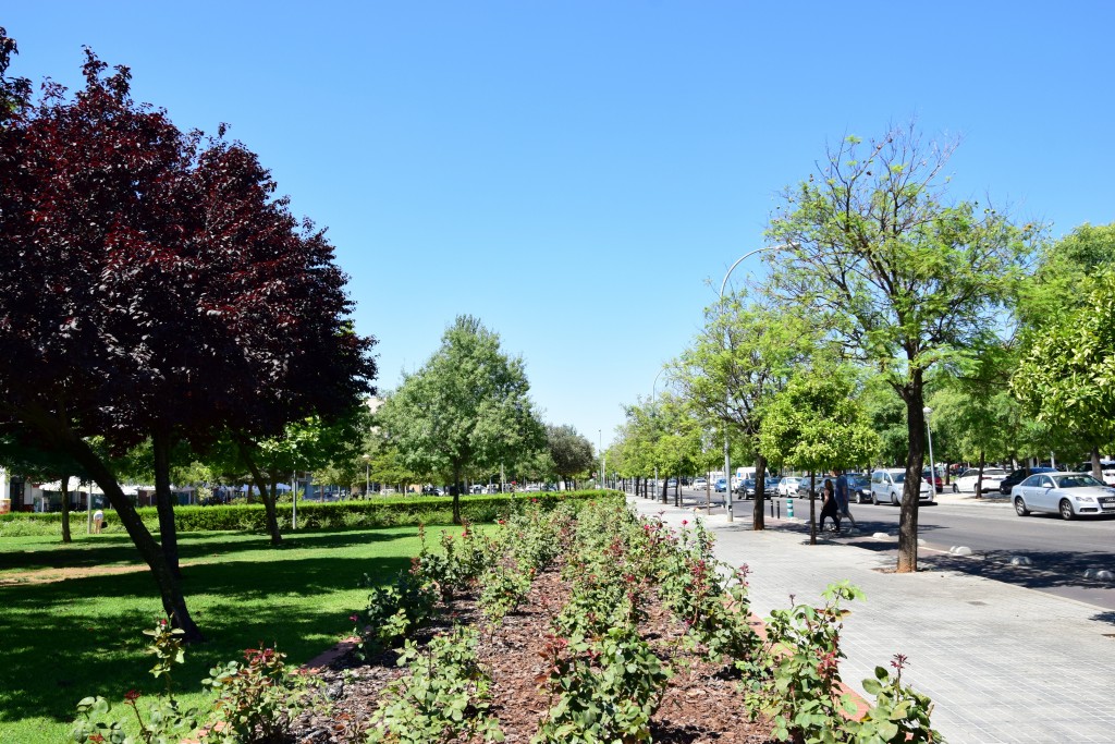 Foto de Córdoba (Andalucía), España