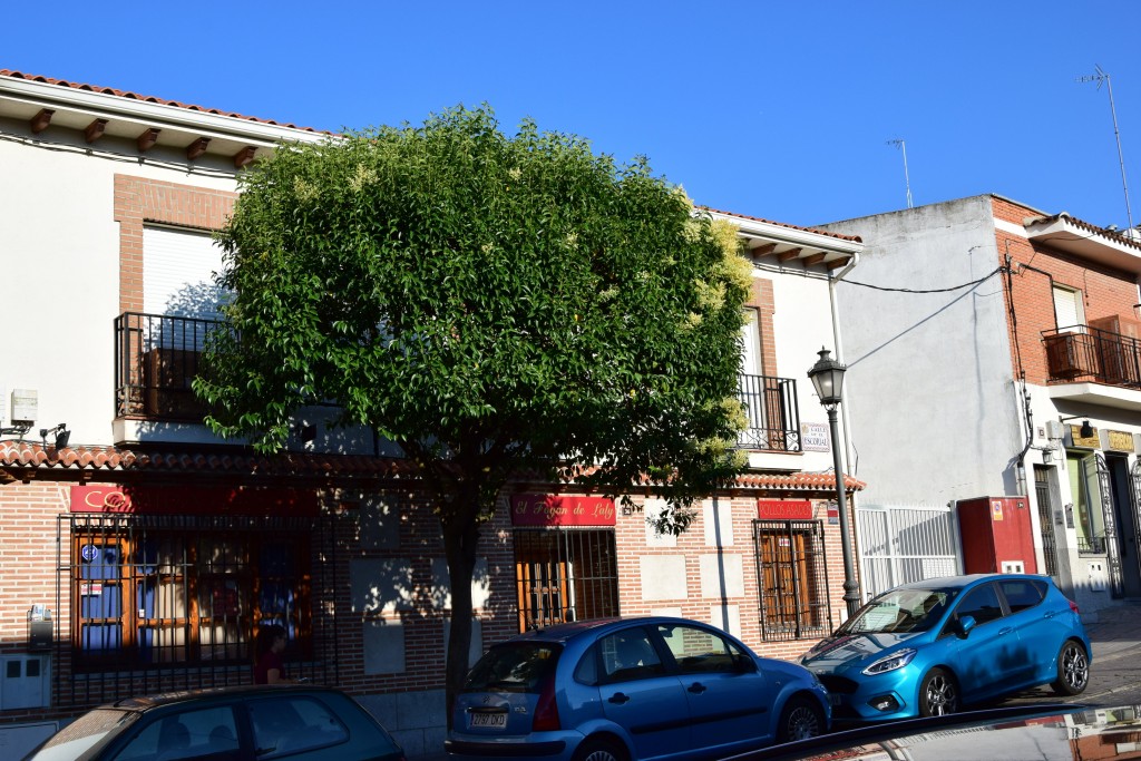 Foto de Navalcarnero (Madrid), España