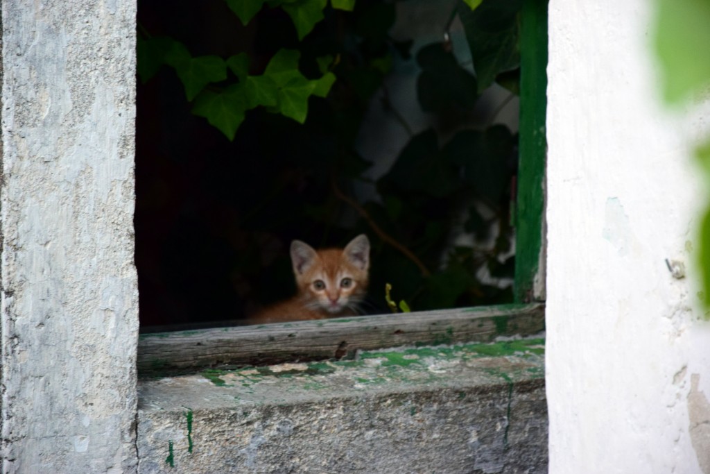 Foto de Navalcarnero (Madrid), España
