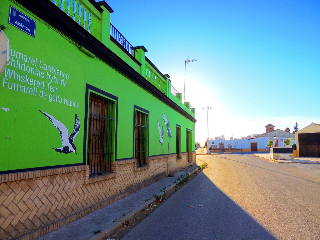 Foto: Avdª América - Isla Mayor (Sevilla), España